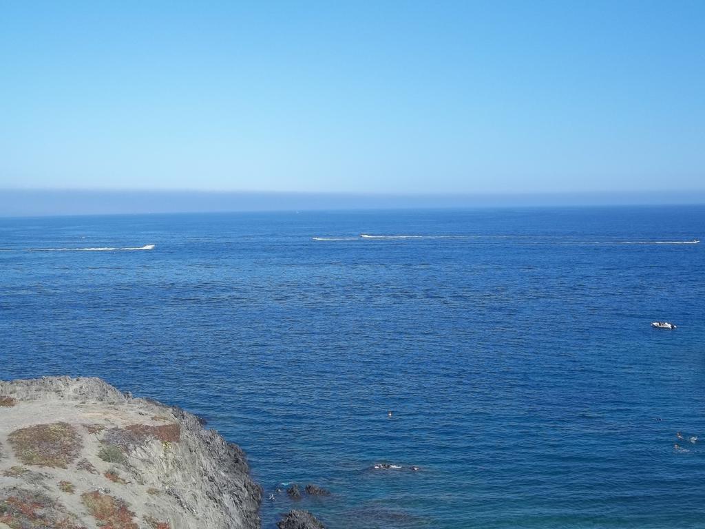 דירות פור-ונדרה Portvendres Sea View מראה חיצוני תמונה